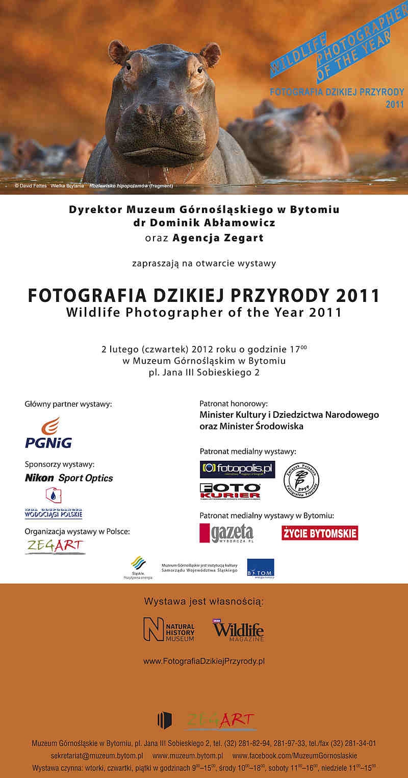 FotografiaDzikiejPrzyrody_2011