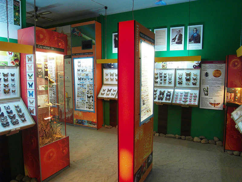 Muzeum_Motyli_Wladysawowo