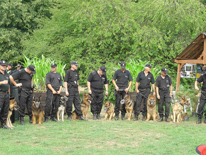 policja_085